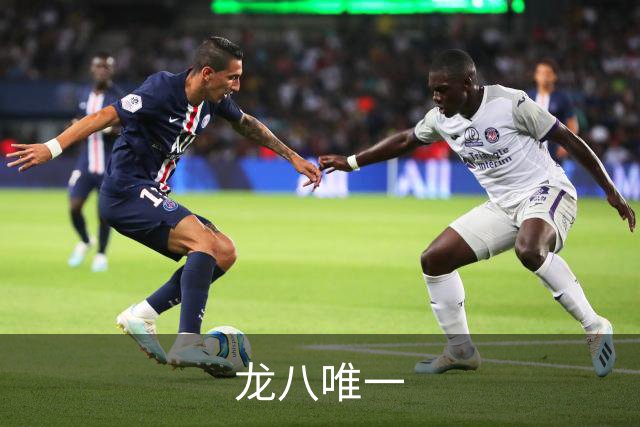 龙八唯一